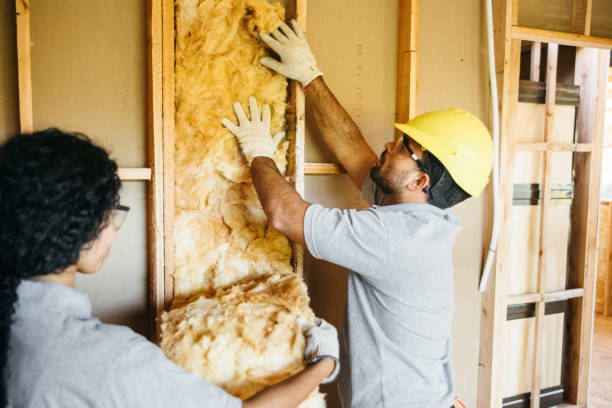 Best Energy-efficient Insulation  in Lawson Heights, PA